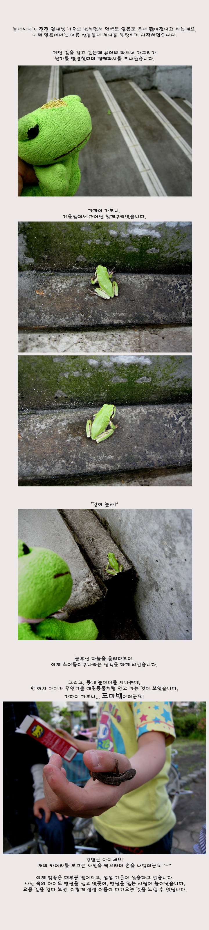 [�Ϻ���] �ܿ��ῡ�� �� ������, ���� �ʿ����� ������~